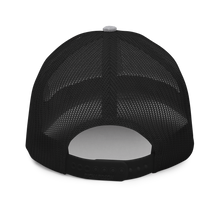 Load image into Gallery viewer, Disbarr Cap